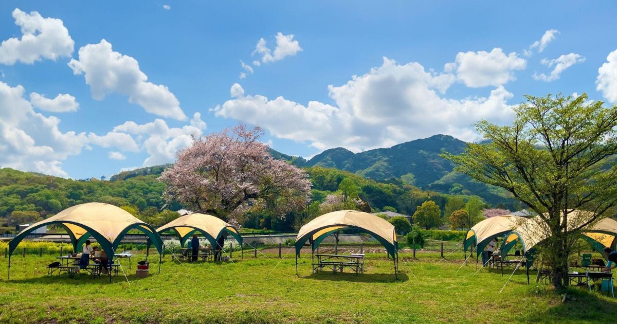 神奈川県の丹沢・大山エリア おすすめキャンプ＆バーベキュー場9選