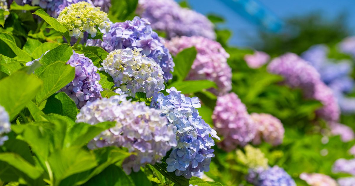 57a5483483b7c12b5479864b8a1fb7