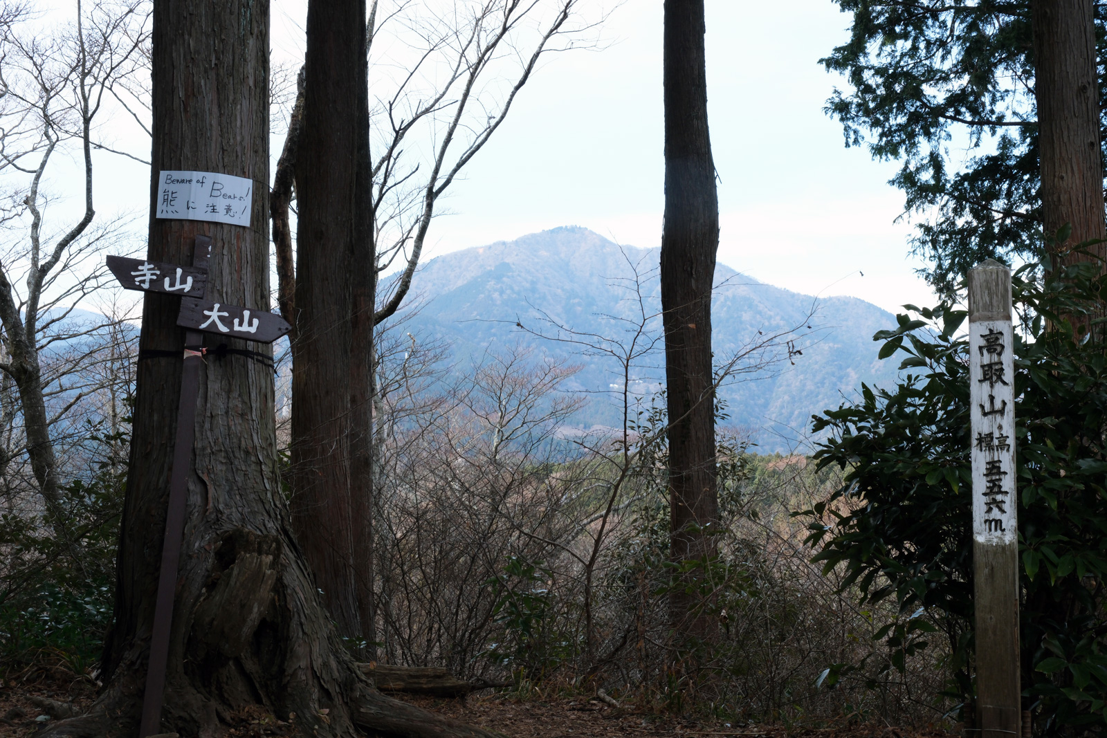 高取山（たかとりやま）｜丹沢・大山のスポット紹介｜丹沢・大山エリアナビ