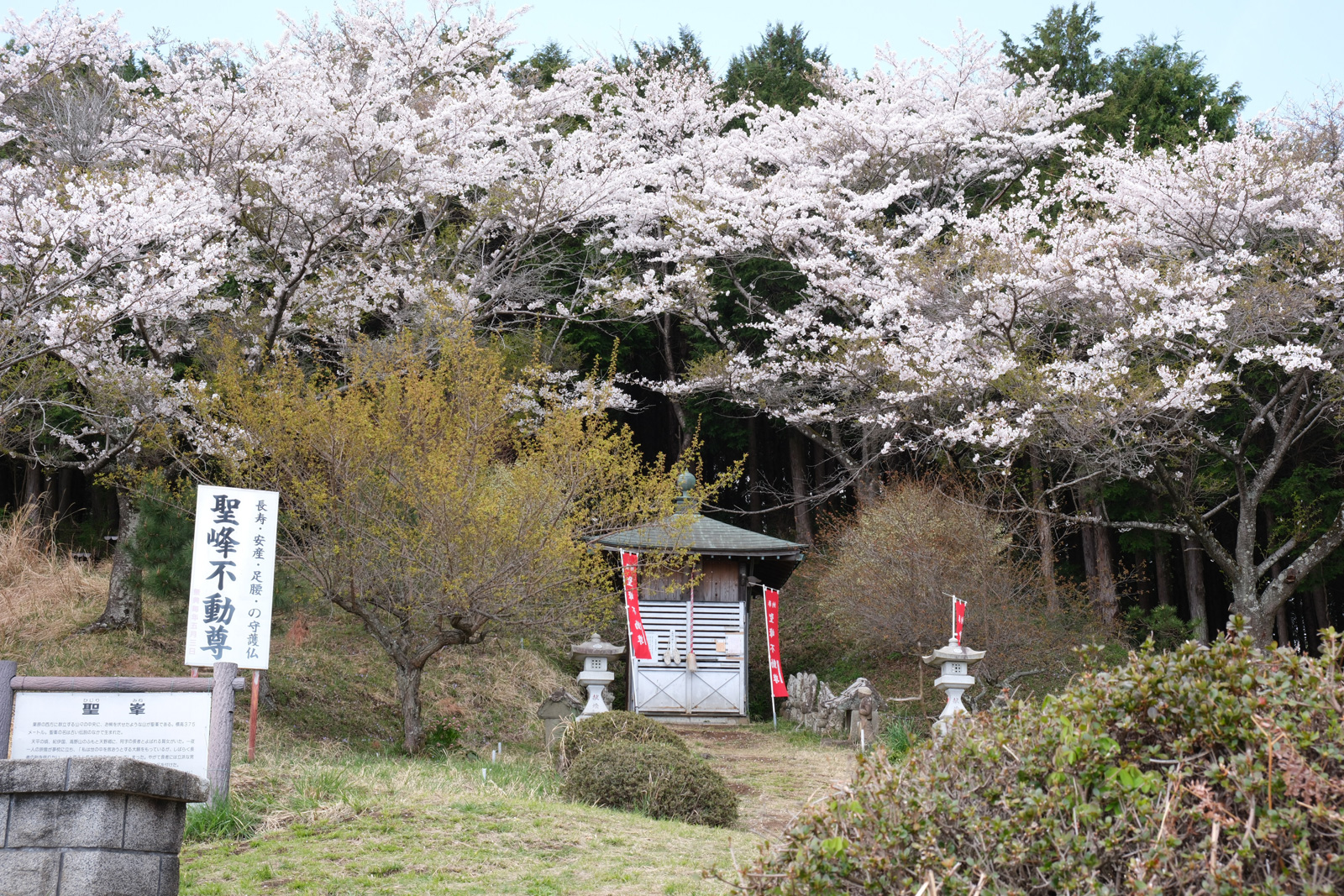 聖峰（ひじりみね）｜丹沢・大山のスポット紹介｜丹沢・大山エリアナビ